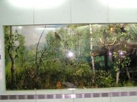 Отдел природы Вольского краеведческого музея