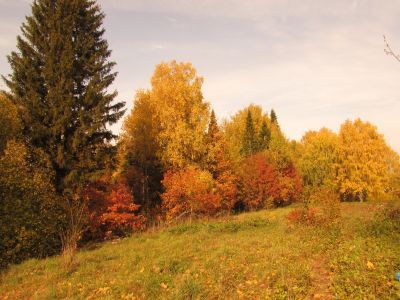 Священная роща