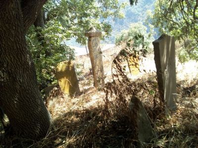 Камень с изображением оленей