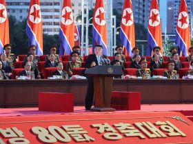 Посольство КНДР в Москве провело онлайн-выставку