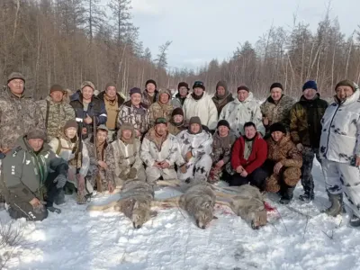 Охотники в Якутии применили метод флажковой облавы для добычи волков