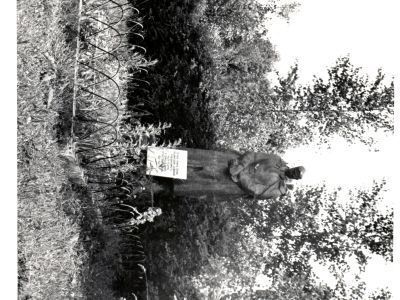 Братская могила