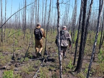 На территории Якутского лесничества состоялась коллективная тренировка лесопатологов