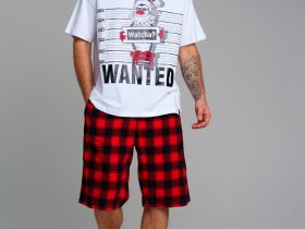 Тапочки мужские