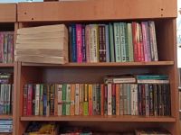 Межпоселенческая библиотека с. Михайловка