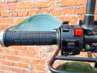 Квадроцикл MOWGLI Simple 7+