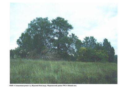 Священная роща