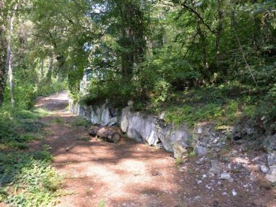 Часть усадебного парка