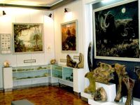 Отдел природы Вольского краеведческого музея