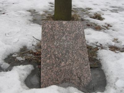 Могила Героя Советского Союза В.И.Суркова, погибшего в боях за г. Демидов в 1943 г.