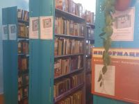 Петропавловская сельская библиотека – филиал № 20