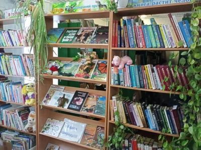 Ермошкинская сельская библиотека