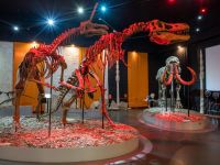 Музей пермских древностей