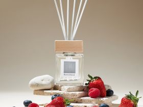 Диффузор Berries festival 100 мл