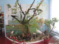 Музей истории Заветинского района