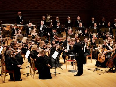 Билеты на В гостях у оркестра. Новосибирский академический симфонический оркестр / Концерт | Афиша | ИнфоТаймс