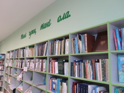 Вольдинская библиотека