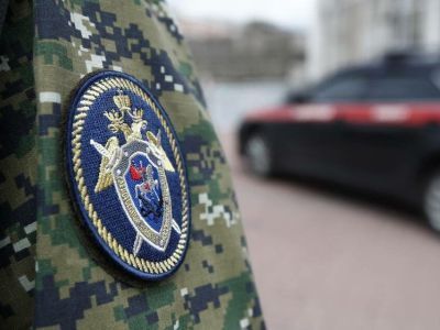 Следком готовит предложения по изменению законодательства после гибели людей от нападения собак