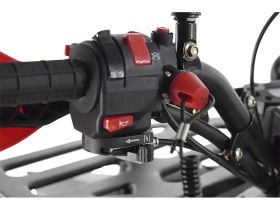 Квадроцикл WELS Thunder Evo X