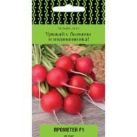 Редис Прометей F1 (Четыре лета)