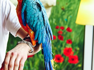 Зоопарк Рио