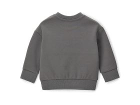 Свитшот для маленького мальчика