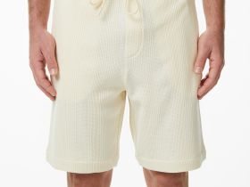 Мужские хлопковые бермуды Lacoste