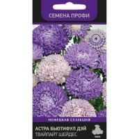 Астра Бьютифул Дэй Твайлайт Шейдес (Семена Профи)