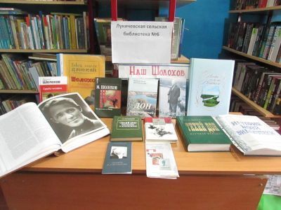 Лукичевская библиотека №6