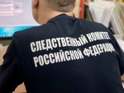 Завершено расследование уголовного дела в отношении молодых людей, обвиняемых в грабеже
