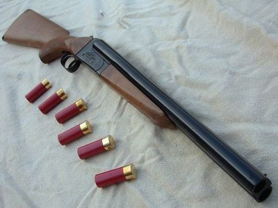 В Анабарском улусе местный житель лишен права на оружие за пьяную стрельбу