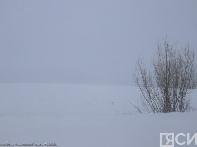 В Оймяконском районе Якутии температура опустилась до -55 градусов