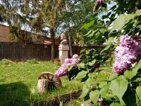 Дом-музей И. Н. Крамского