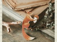 Деревянная брошка Дворникова А. "Белочка"