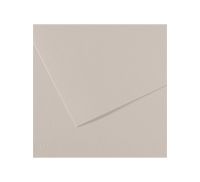 Бумага для пастели Canson "MI-TEINTES" 21x29,7 см 160 г №120 жемчужно-серый