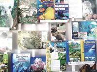 Новоархангельская библиотека