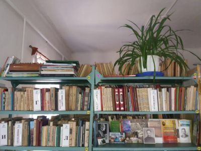 Диченская сельская библиотека