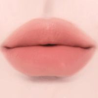 Жидкая матовая помада для губ Dinto Madame Butterfly Blurring Lip Veil 107 Adagio