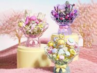 HK122 Конструктор Нэнси в макарунах