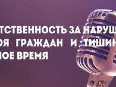 Нарушителей покоя граждан будут привлекать к ответственности