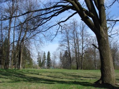 Усадьба Медемов Щеглово