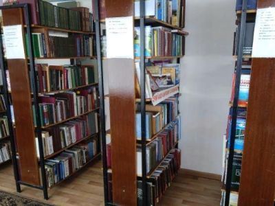 Черемушкинская сельская библиотека