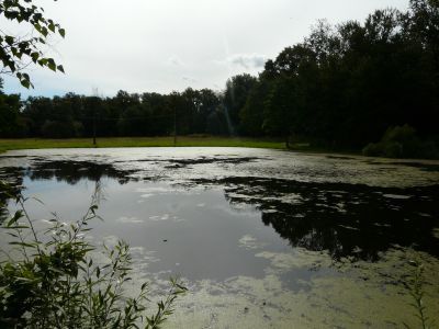 Дача Макарова («Елизино»)