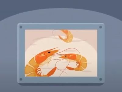 Зачем креветки варят сразу после вылова?