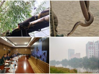 Что произошло в Якутии 14 августа: обзор событий за день