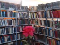 Красноармейская библиотека