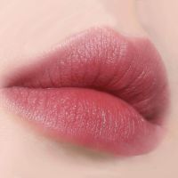 Тающая помада в стике с матовым финишем hince Slim Stick Melting Matte 05 Unrefined