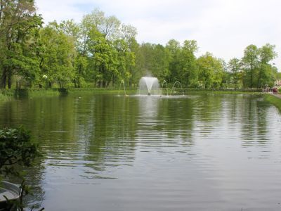 Пруд Песочный с фонтаном "Китовый" и фонтанными фигурами "Дельфин" (четыре)