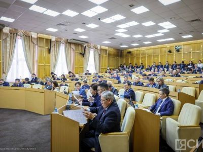 В Якутии в первом чтении приняли изменения в закон об обращении с безнадзорными животными