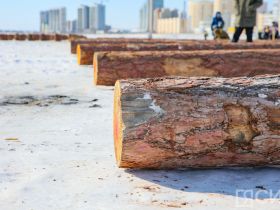 Республиканские соревнования отцов и сыновей стартовали в Якутске